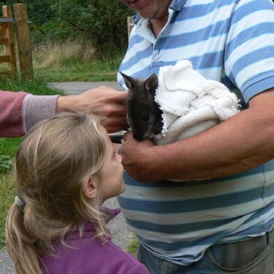 Abi meets Colin the Wallaby