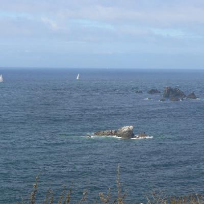 Lizard point