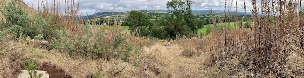 Panorama from my Sequoia