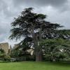 Old Hardwick Hall