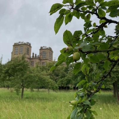 Hardwick Hall from Orchard
