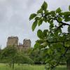 Hardwick Hall from Orchard