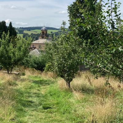 Chatsworth Orchard