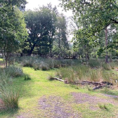 Longshaw Estate