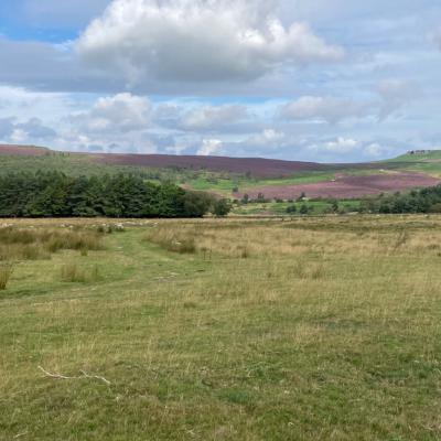 Longshaw Estate