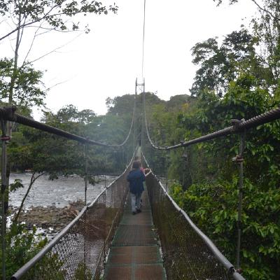 Hanging bridge