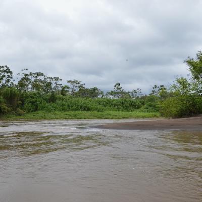 Windy river, low water level