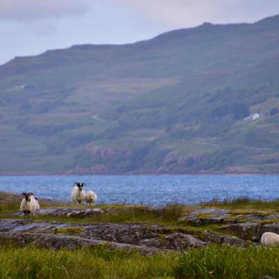 Traigh Doire Dhubhaig