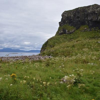 Lunga landscapes