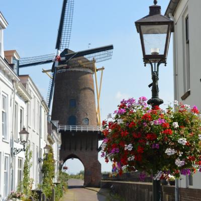 Molen Rijn en Lek
