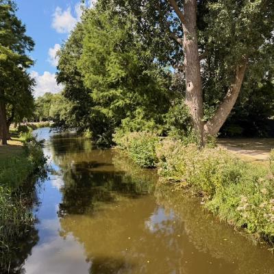 Vondelpark
