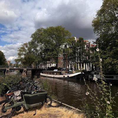 Canal scene
