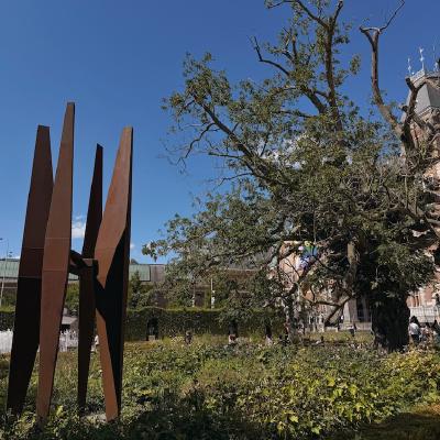 Rijksmuseum garden
