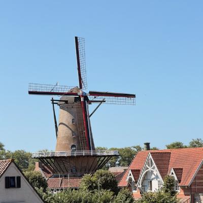 Mill at Sluis
