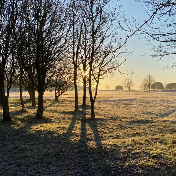 Winter Scene