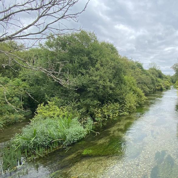 River Itchen