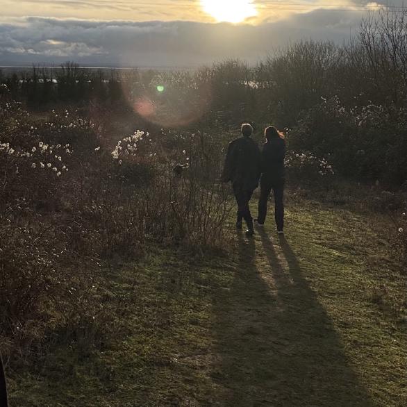 Winter sun on Portsdown hill