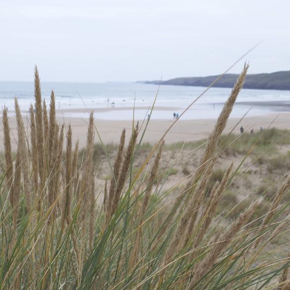 Freshwater Beach