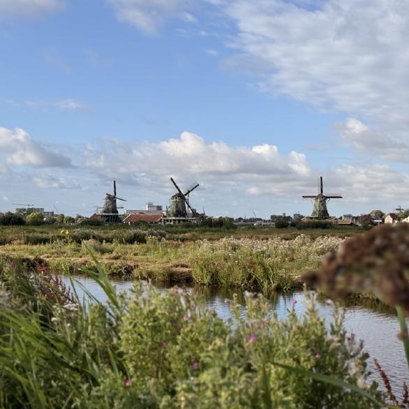 Zaanse Schans