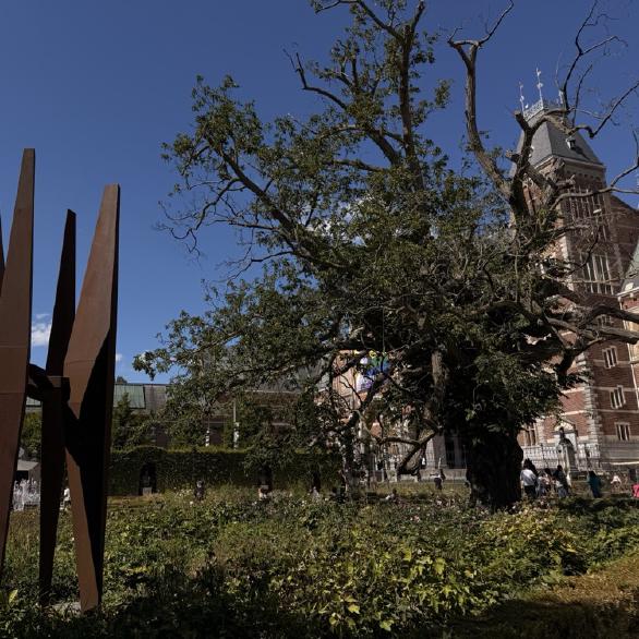 Rijks garden