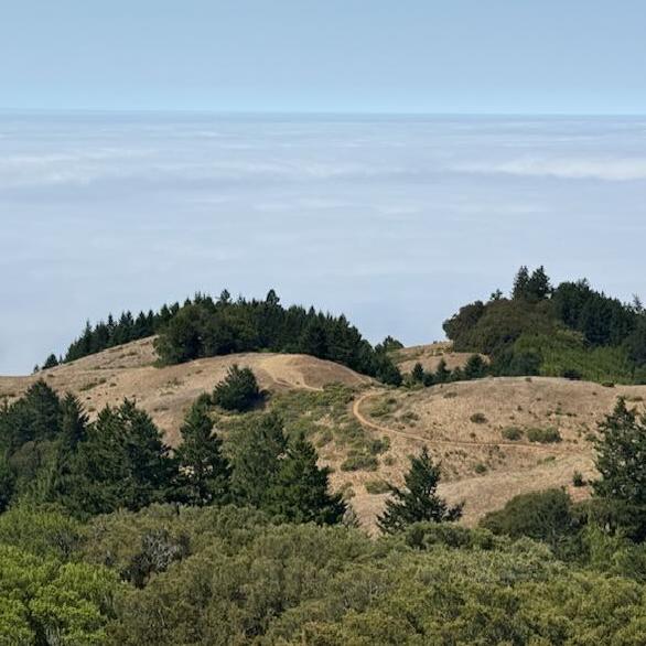 Mount Tamalpais